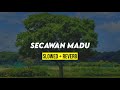 secawan madu slowed reverb