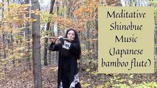 Live Meditative Japanese Shinobue Flute Music in Fall Colors