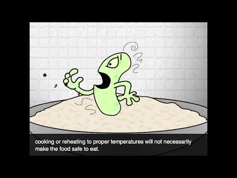 How do bacteria get food?