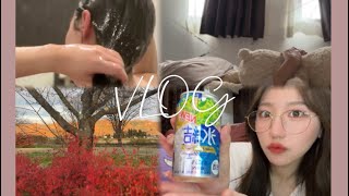 【vlog】社会人2年目の休日-ピクニック-ひとり飲み-ゲーム🧺🍂