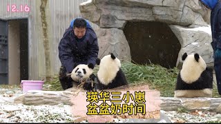 12.16青糍 华宝 小九盆盆奶时间，盆盆奶流程→喝奶→擦嘴→递笋→摆正位置