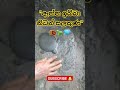 ශ්‍රී ලංකාවේ අතිශය දුර්ලභ සුපිරිම නිධන් සලකුණ ඉබ්බා