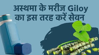 Giloy Benefits: प्रदूषण से खुद को सुरक्षित रखने के लिए Asthma के मरीज गिलोय का इस तरह करें सेवन