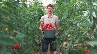 9 Tips for a Thriving 2025 Veggie Garden! A Year of Abundance awaits!