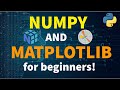 Ultimate Beginner Introduction to NumPy and Matplotlib: Master Vectors, Matrices, and 3D Plots