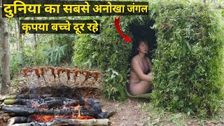 Amazon Jungle से भी खतरनाक भारत के 5 सबसे बड़े जंगल|Top 5 Most Dangerous Jungle In India|rainforest