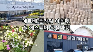 용인 남사 화훼단지 에르베플라워 아울렛 방문기. 에스티아 식물마켓도 다녀왔어요!