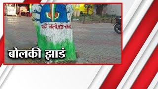 Jalgaon | जळगावातील पाचोरा शहरात बोलकी झाडं; वृक्ष संवर्धनासह पर्यावरण जनजागृती | Special Report