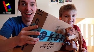 I GOT MY FAVORITE 2019 CREATOR SET!  LEGO Mystery Mail from Amazon(Episode 1)