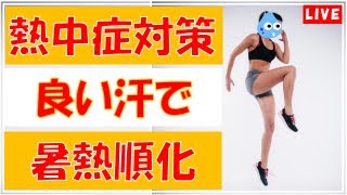 【熱中症対策】良い汗をかくことで体を暑熱順化させる方法