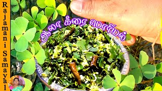 உடல் கொழுப்பு,சர்க்கரைநோய்க்கு சிறந்த ஆலா கீரை | 4 leaf clover | Aala keerai poriyal | Aaraa keerai