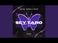 Sey Taro (Slowed)