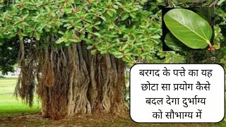 गुरुपुष्यामृत योग में 6 जून, गुरुवार को करें यह प्रयोग बदल देगा दुर्भाग्य को सौभाग्य में