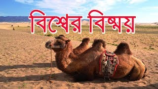 বিশ্বের  কিছু চোখধাঁধানো অজানা তথ্য  যা আপনি জানেন না ! Map my travel world !