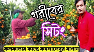 গরিবের দার্জিলিং/সিটং মাত্র ১০ টাকায় | Feel Like Sitong | কলকাতার কাছেই কমলা বাগান