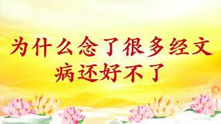 卢台长【节目录音】为什么念了很多经文 病还好不了