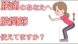 最新の腰痛を改善する体操