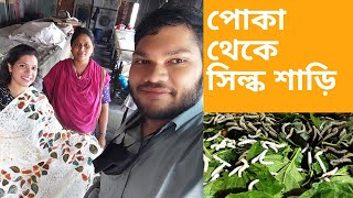 How silk saris are made from silkworms || কিভাবে রেশম পোকা থেকে সিল্ক শাড়ি তৈরি হয় 😲 #silksaree