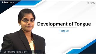 Anatomy | Tongue | Development of Tongue