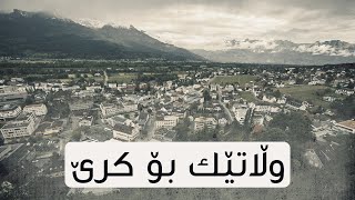 لیختنشتاین.. بەهەشتی باجدان