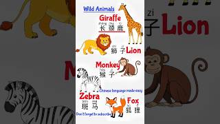 basic Chinese, spoken chinese, learn Chinese mandarin, useful Chinese for beginners #shorts #chinese