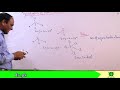 Ch#3  lec#4  Hybridization of Atomic Orbitals  Rules for hybridization