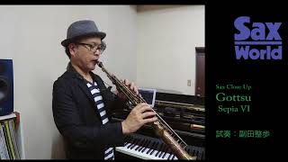 Gottsu SepiaVI　試奏動画