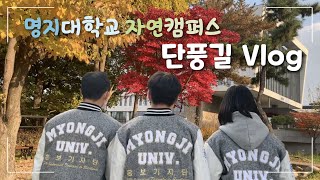 [홍보기자단] 명지대학교 자연캠퍼스 단풍길 Vlog🍁(feat.면접시즌) | 명지대에는 한옥이 있다?! | 자캠의 포토스팟📷