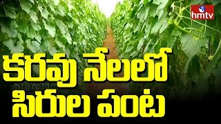 Warangal Farmer Happy with Rains | కరవు నేలలో సిరుల పంట | Nela Talli