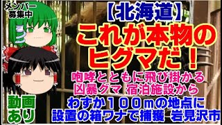 【ゆっくりニュース】北海道　これが本物のヒグマだ！ 咆哮とともに飛び掛かる凶暴グマ 　宿泊施設からわずか100mの地点に設置の箱ワナで捕獲 岩見沢市　動画あり