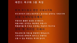 제7회 대한체육회장배 전국족구대회 최강부 준결승 전북천후vs이천시청