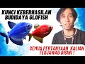 kunci keberhasilan Budidaya glofish | pemula wajib nonton !