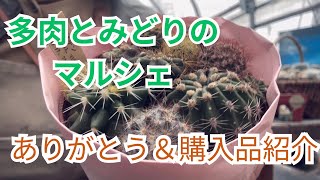 多肉ととみどりのマルシェ【ありがとう＆購入品】　#なばなの里　#多肉植物　#多肉植物生産者　#succulent