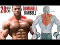 20 BEST TRAPS  EXERCISES TO GET BIGGER BACK FAST / MUSCULATION DES TRAPEZES  RÉSULTAT RAPIDE