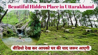 उत्तराखण्ड की वादियो में Hidden सुंदर नदी और जंगल का नज़ारा l Village life style l Uttarakhand Vlog