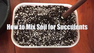 របៀបលាយដីដាំប្រទាល How to mix soil for succulents