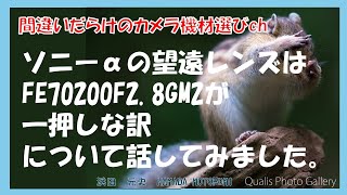 間違いだらけのカメラ機材選びch 「ソニーαの望遠レンズはFE70200F2.8GM2が一押しな訳について話してみました」