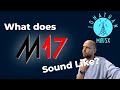 I tried the new HAM RADIO M17 Mode - feat. @TechMindsOfficial