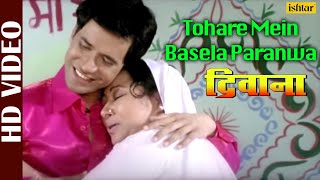 Tohare Mein Basela Paranwa | Dinesh Lal Yadav ''Nirahua'' | Soma Banerjee | Deewana | Bhojpuri Song