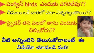 పెంగ్విన్ birds ఎందుకు ఎగరలేవు??||చీమలు ఒకే దారిలో ఎలా వెళ్తాయి?|| D for daivik  tv.