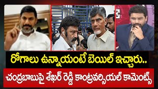 రోగాలు ఉన్నాయంటే బెయిల్ ఇచ్చారు.. చంద్రబాబుపై శేఖర్ రెడ్డి కాంట్రవర్సియల్ కామెంట్స్ | Sekhar on Babu