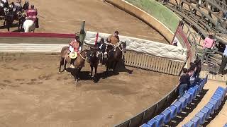 RODEO CLUB PICHILEMU - Serie de Campeones | TEMPORADA 2024-2025