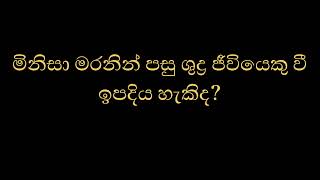 මිනිසා මරනින් පසු ශුද්‍ර ජීවියෙකු වී ඉපදිය හැකිද?