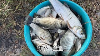 水流的小野沟大小鲫鱼连杆钓了一盆鱼···~【老叶爱钓鱼】