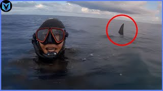 When Sharks Go On A Rampage Caught On Camera!