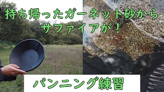 初パンニング動画。小さいですがサファイアも出ました