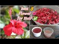 How to use Hibiscus 🌺 flowers for hair? Natural hair color/Extreme Hair growth