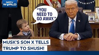 Musk's Son Viral Video | Elon Musk's Son X Æ Tells Donald Trump To 'Shush His Mouth' | Trump News