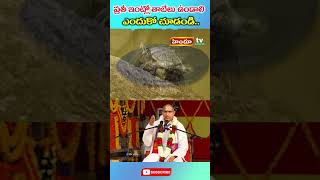 ప్రతీ ఇంట్లో తాబేలు ఉండాలి.. | Chaganti Koteswara Rao Dharma Sandhehalu | Himdu tv shorts