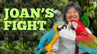 Joan Carling Wins the 'Alternative Nobel' for Protecting Indigenous Peoples and the Environment